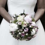 photo room andrea scheffer