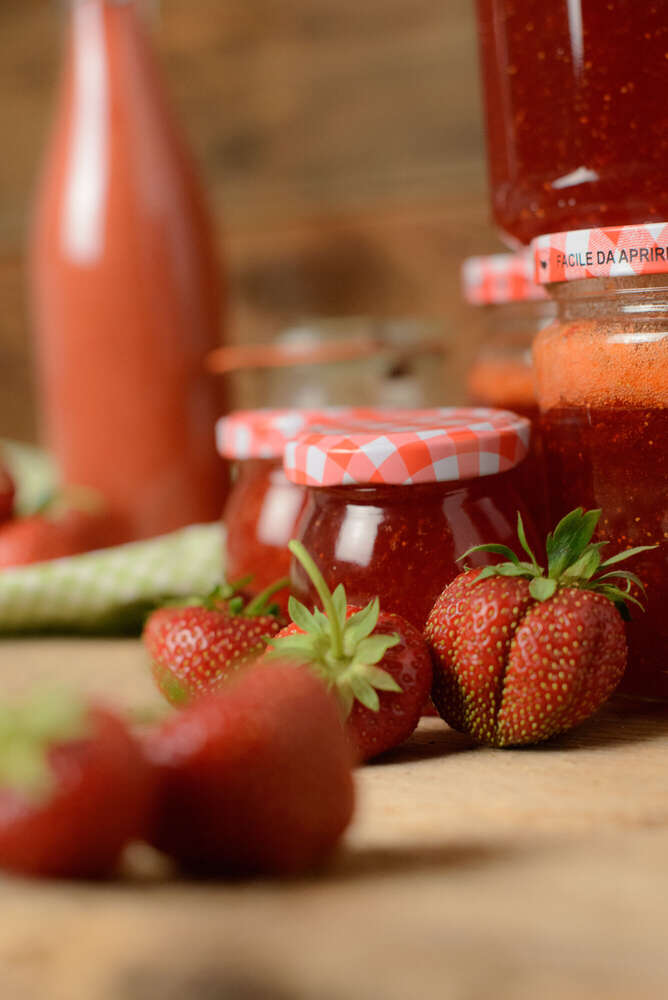 Petra Reginato Fotografie (Petra Reginato Fotografie)