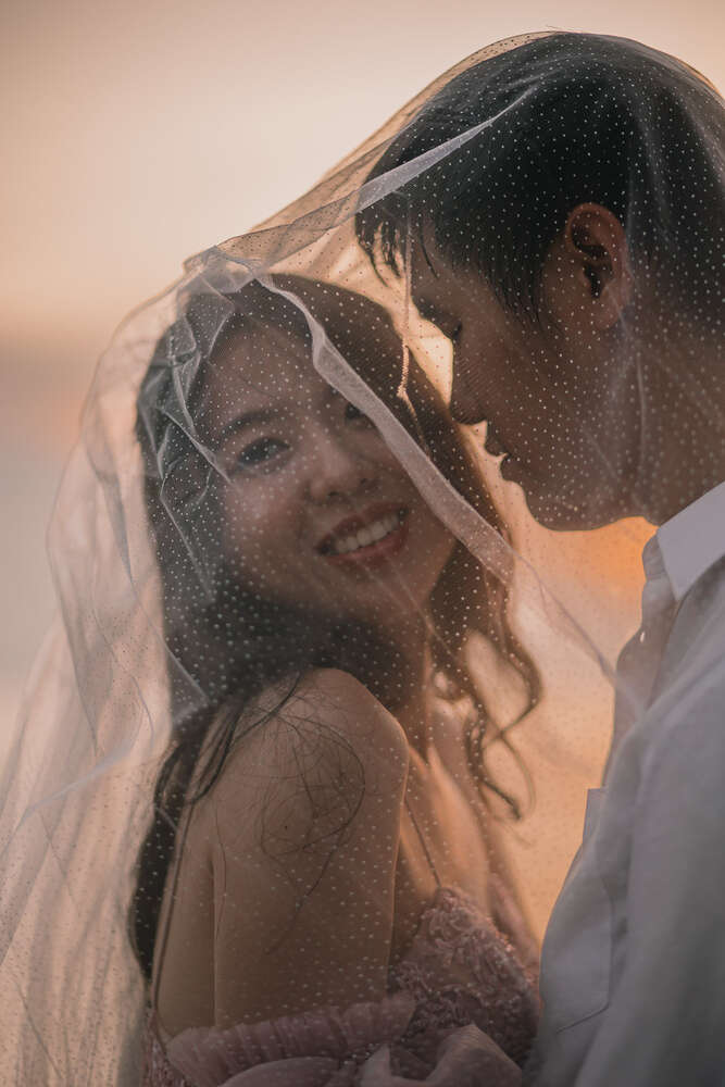 Silk & Peonies (Silk & Peonies)