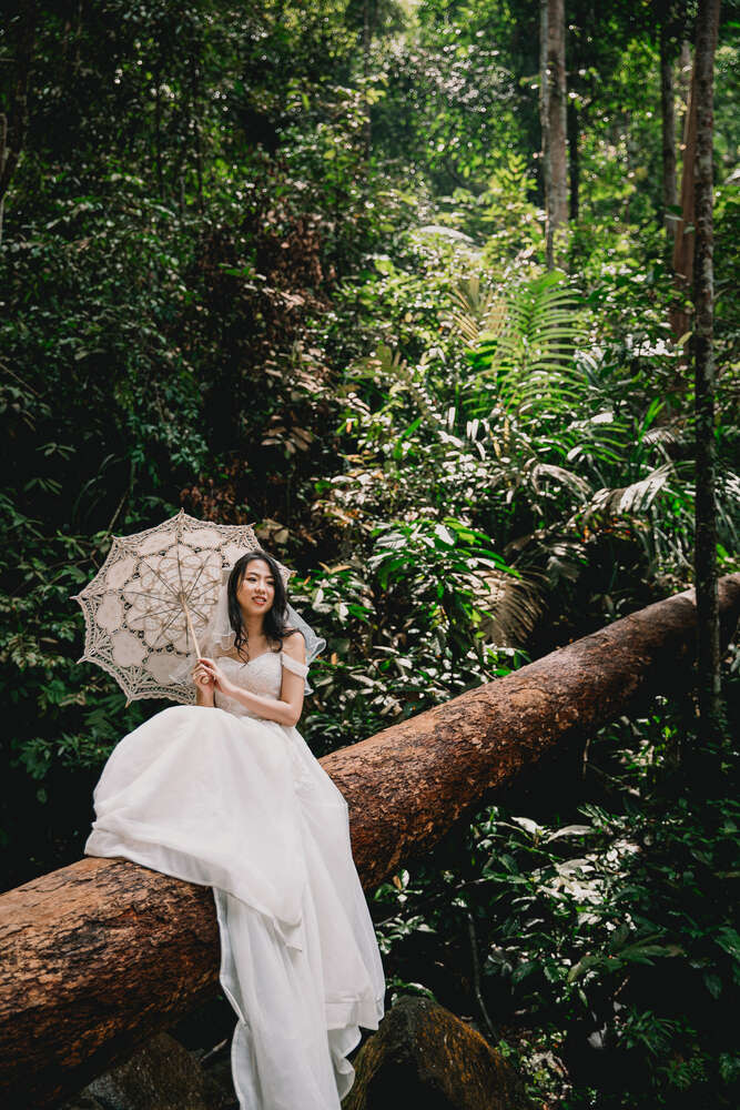 Silk & Peonies (Silk & Peonies)