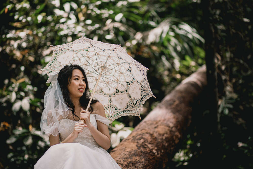 Silk & Peonies (Silk & Peonies)