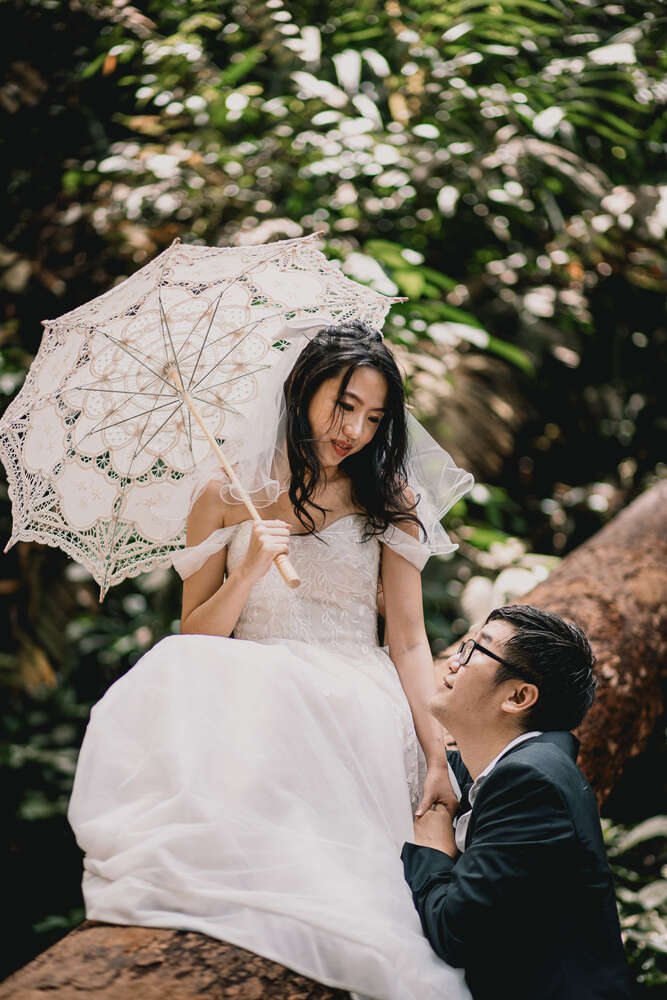 Silk & Peonies (Silk & Peonies)