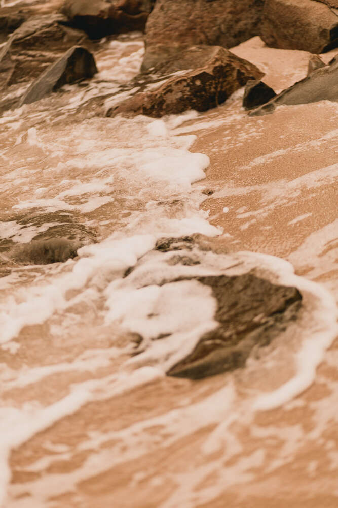 Silk & Peonies (Silk & Peonies)