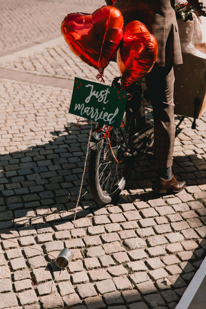 Silk & Peonies (Silk & Peonies)