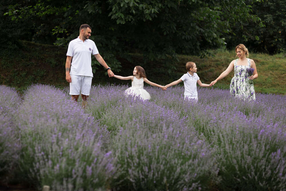 Im Lavendelfeld (Zhukovaphotography)