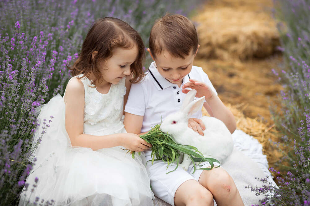 Ein neuer interessanter Freund (Zhukovaphotography)