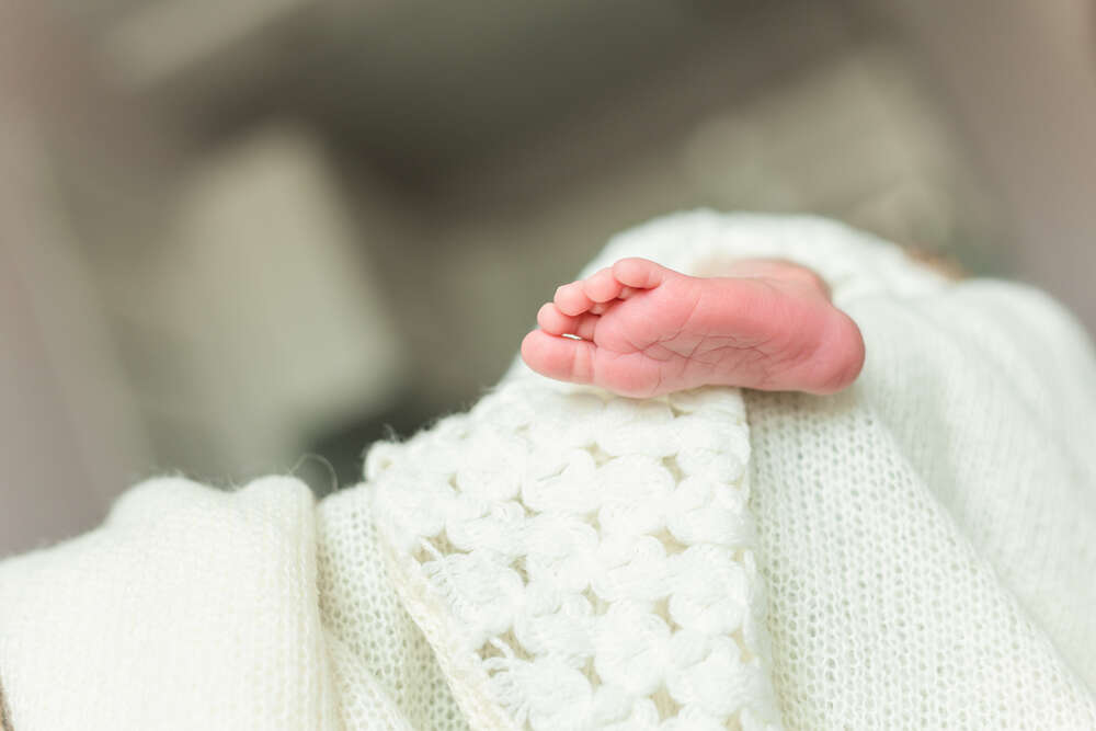 Zhukovaphotography (Zhukovaphotography)