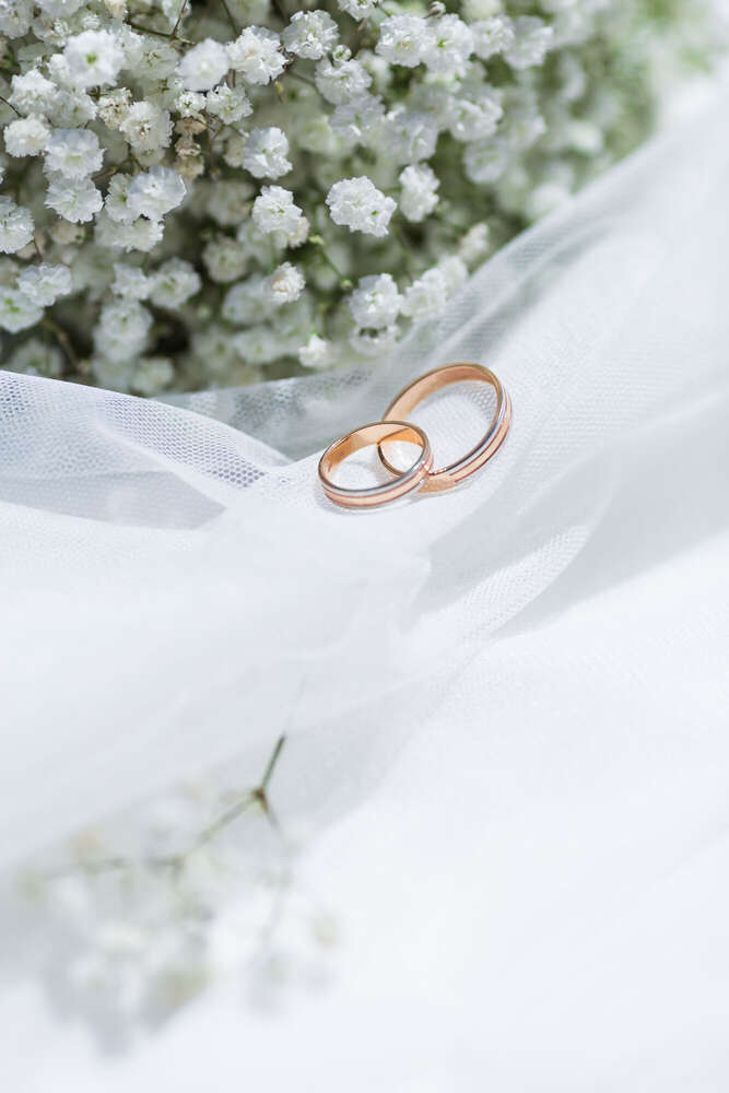 Zhukovaphotography (Zhukovaphotography)