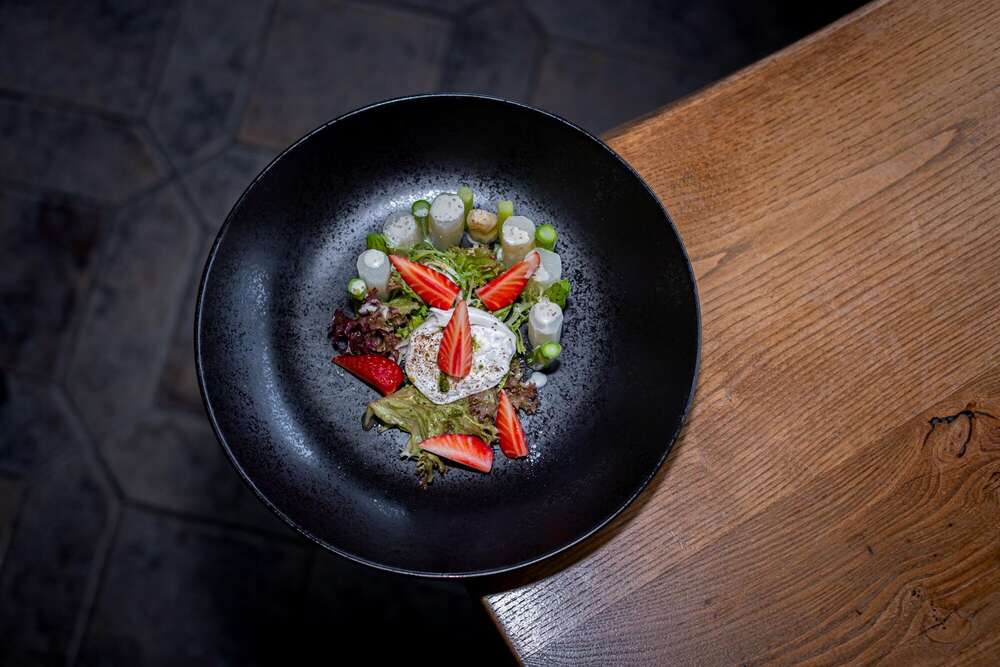 VisCons Media GmbH (VisCons Media GmbH)