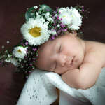 Sandra mora Fotografie