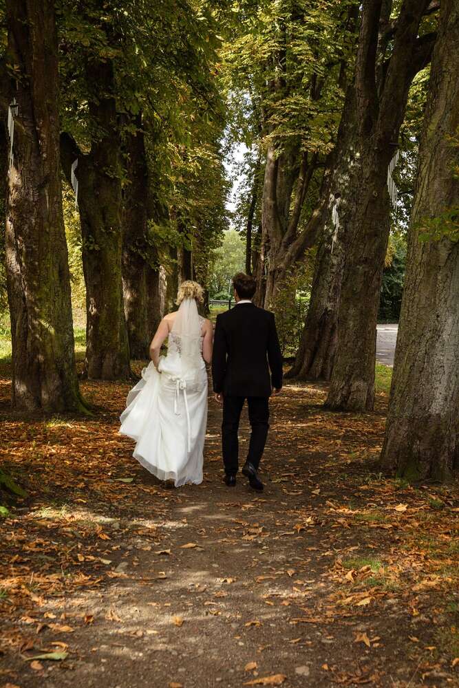 Portraitilio (Portraitilio)