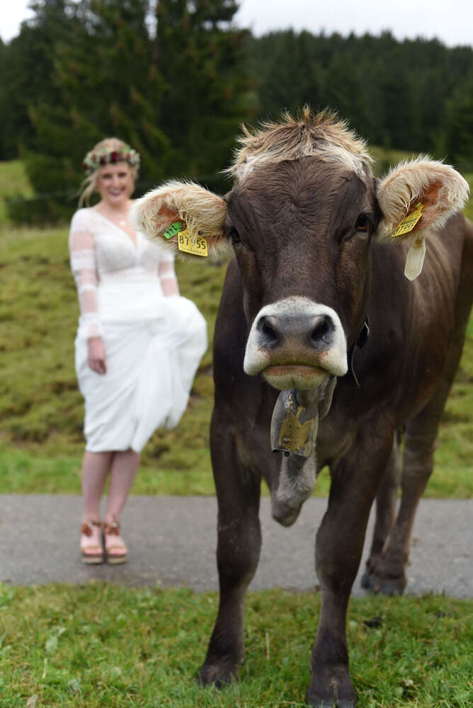 Kann Design (Kann Design)