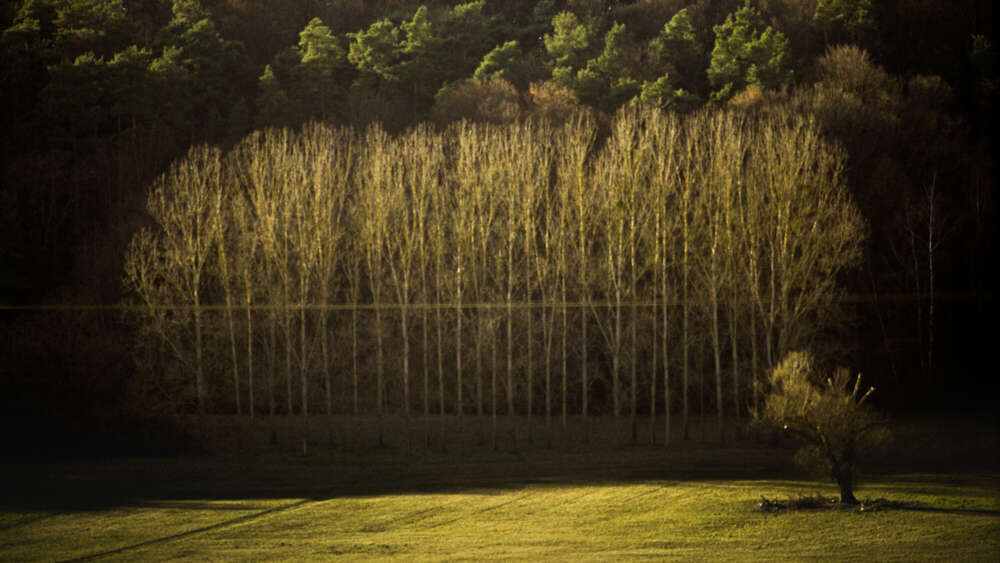 Yüksel Patir Fotografie (Yüksel Patir Fotografie)