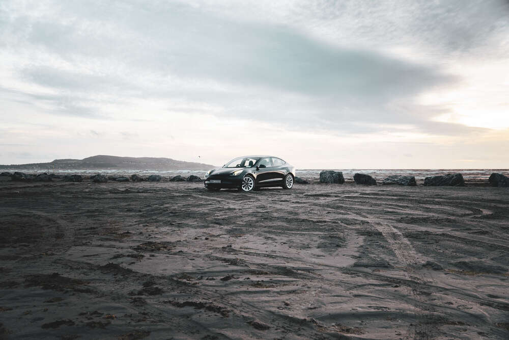 TMC Media (TMC Media)