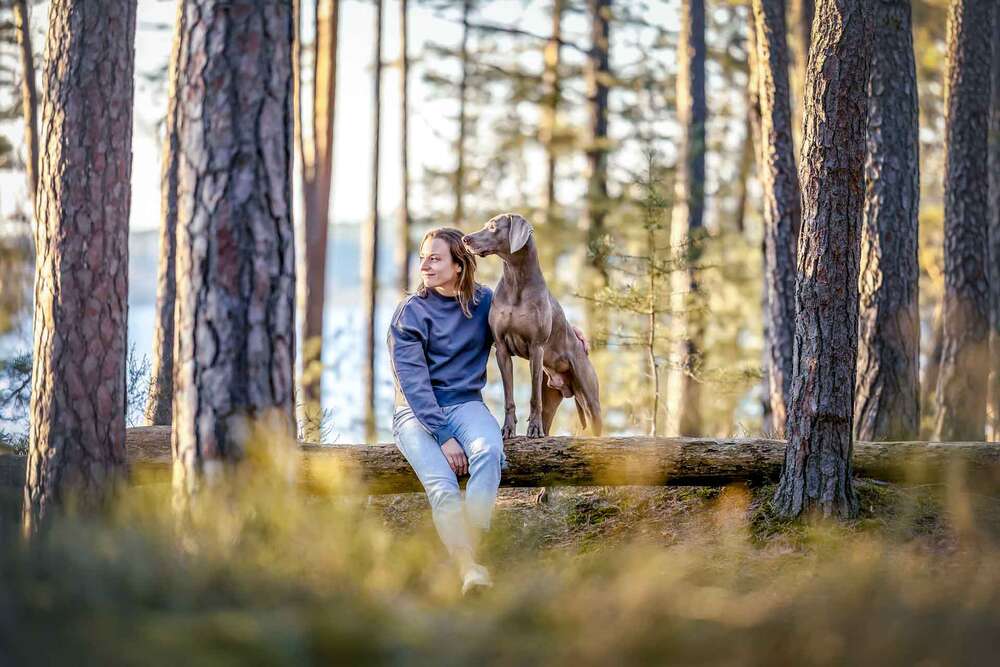Hunde- und Paarfotografie (Hunde- und Paarfotografie)