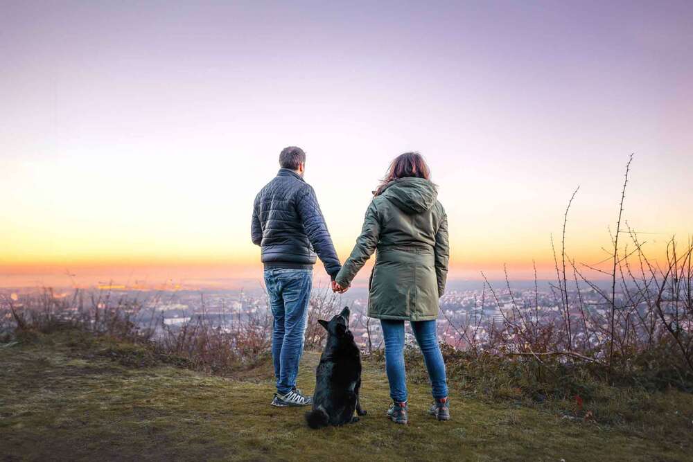Hunde- und Paarfotografie (Hunde- und Paarfotografie)