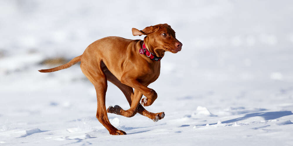 Andreas Grasser Fotograf (Andreas Grasser Fotograf)