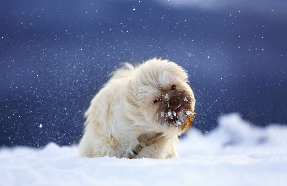 Andreas Grasser Fotograf (Andreas Grasser Fotograf)