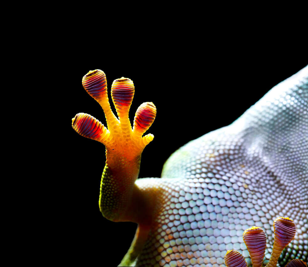 Andreas Grasser Fotograf (Andreas Grasser Fotograf)