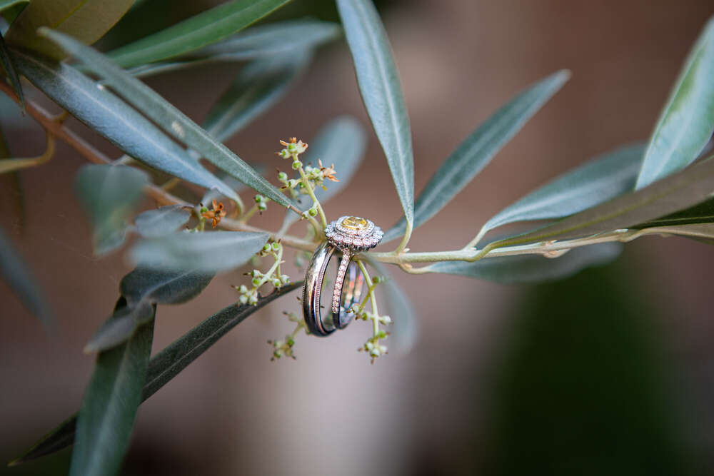 Kerstin Schmidt Fotografie