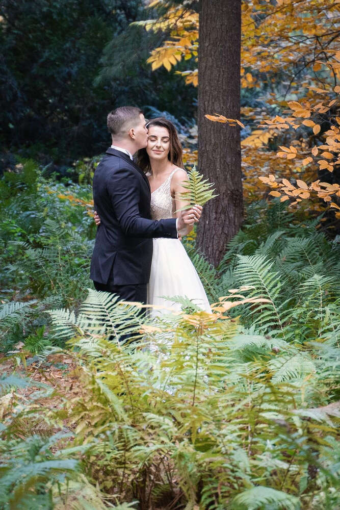 Edemstudio (Edemstudio)