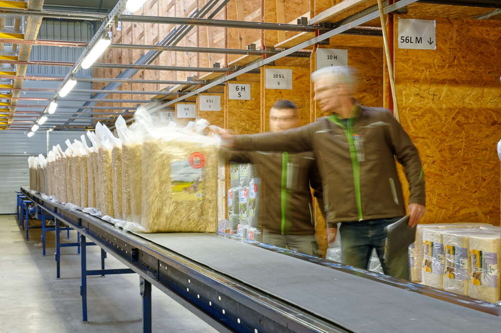 Anka Sandeck (Anka Sandeck)