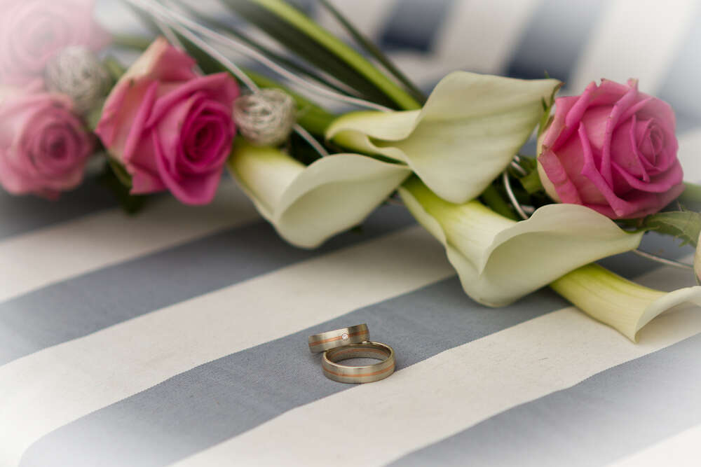 Digitalfotografie Ludewig (Digitalfotografie Ludewig)