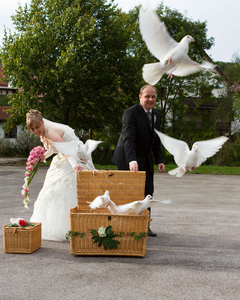 Digitalfotografie Ludewig (Digitalfotografie Ludewig)