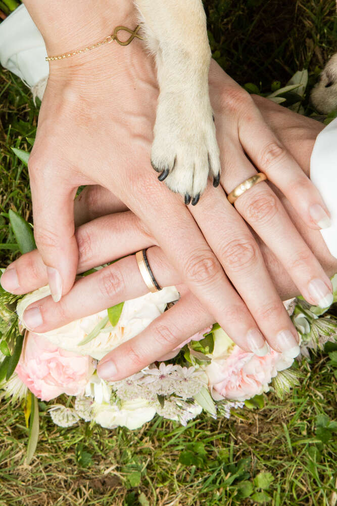 Digitalfotografie Ludewig (Digitalfotografie Ludewig)