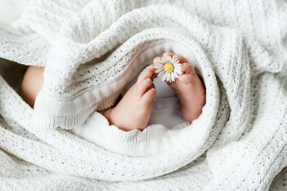 Lysannsanderfotografie (Lysannsanderfotografie)