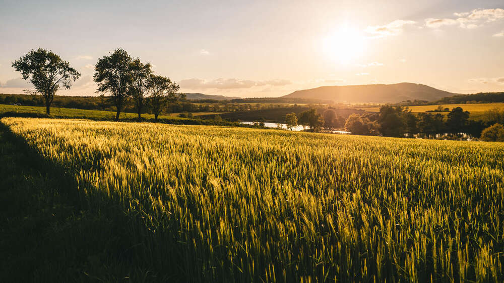 Geronimo Schmidt (Geronimo Schmidt)