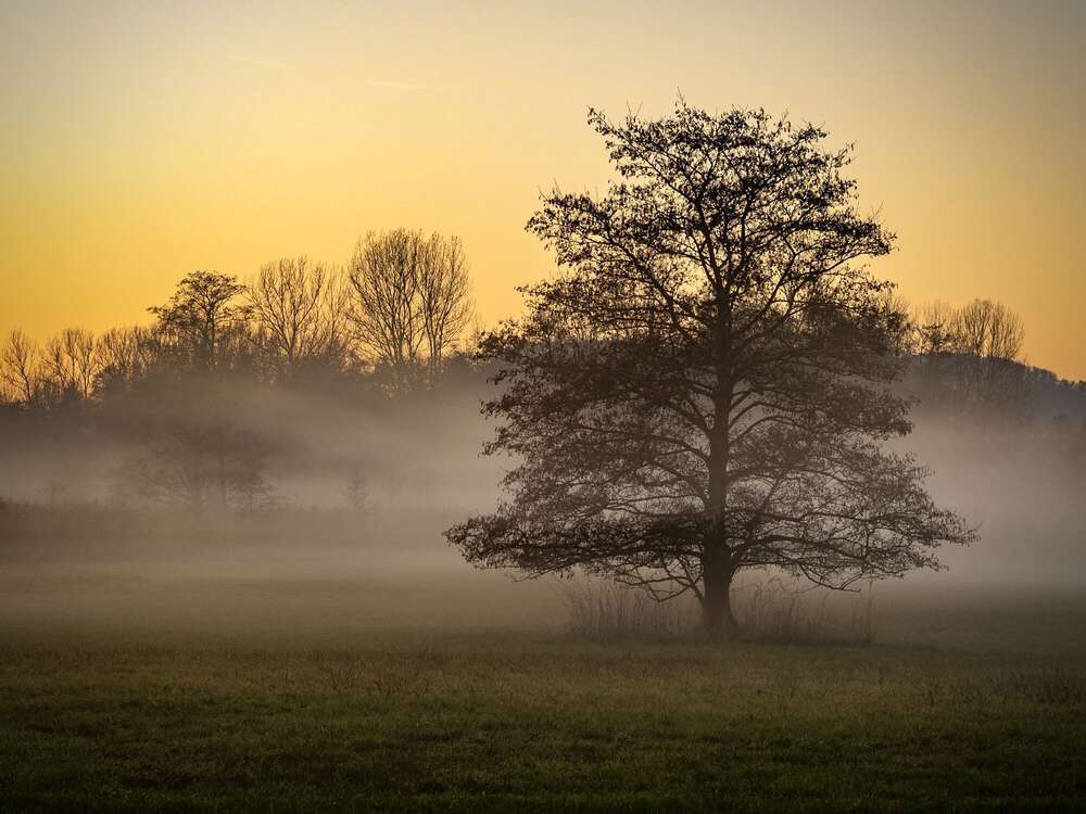 Geronimo Schmidt (Geronimo Schmidt)