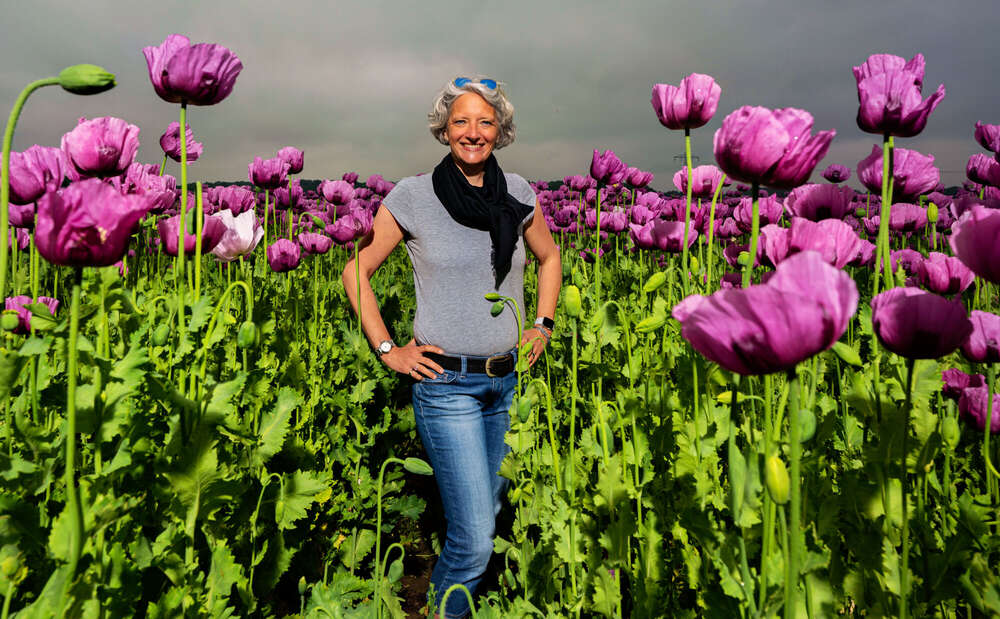 Outdoor Fotoshooting in einem Mohnfeld (Ulrich Stamm Photography - Business-Presse-Privat)