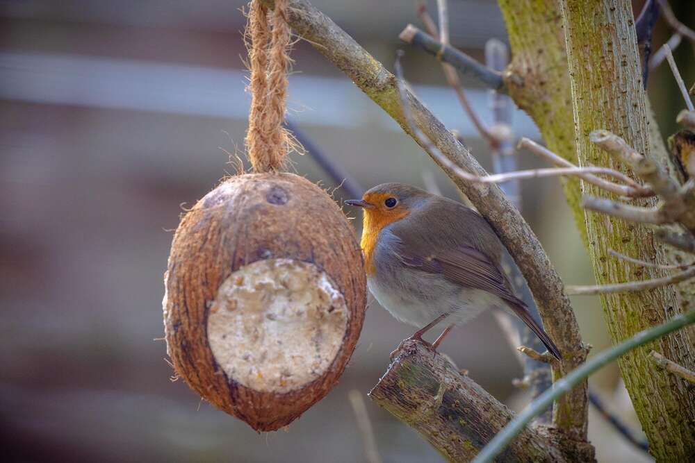 AndreaBeyerPhotography