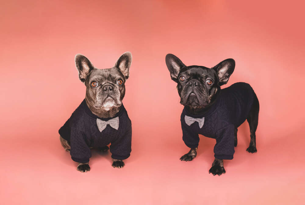 Fotoboxlimburg Rudel (Fotoboxlimburg.de)