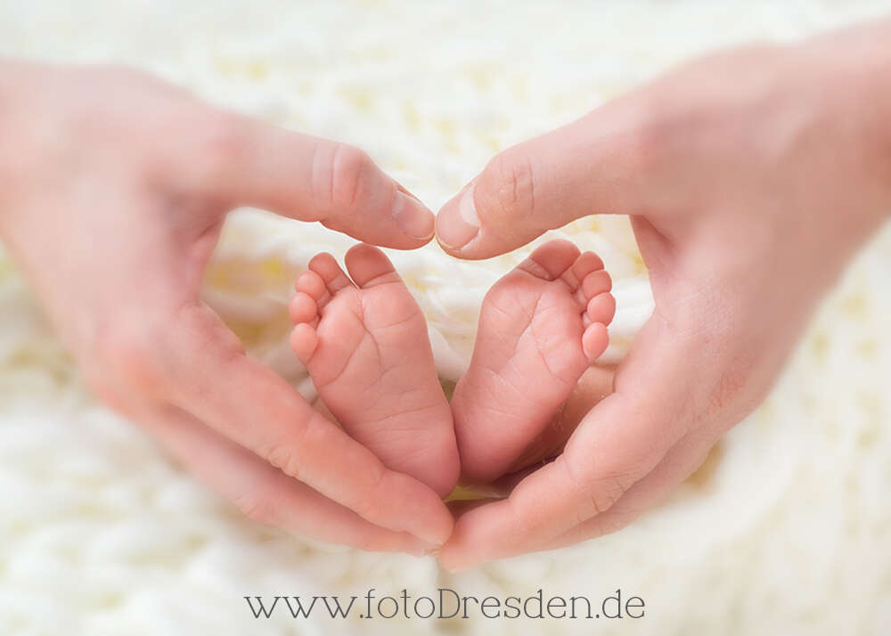 Herz (Foto Dresden Anna Granzin)