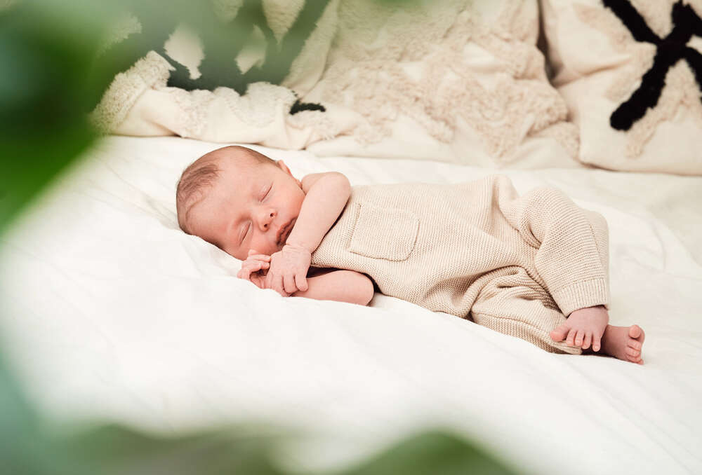 MERA Studio (MERA Studio)