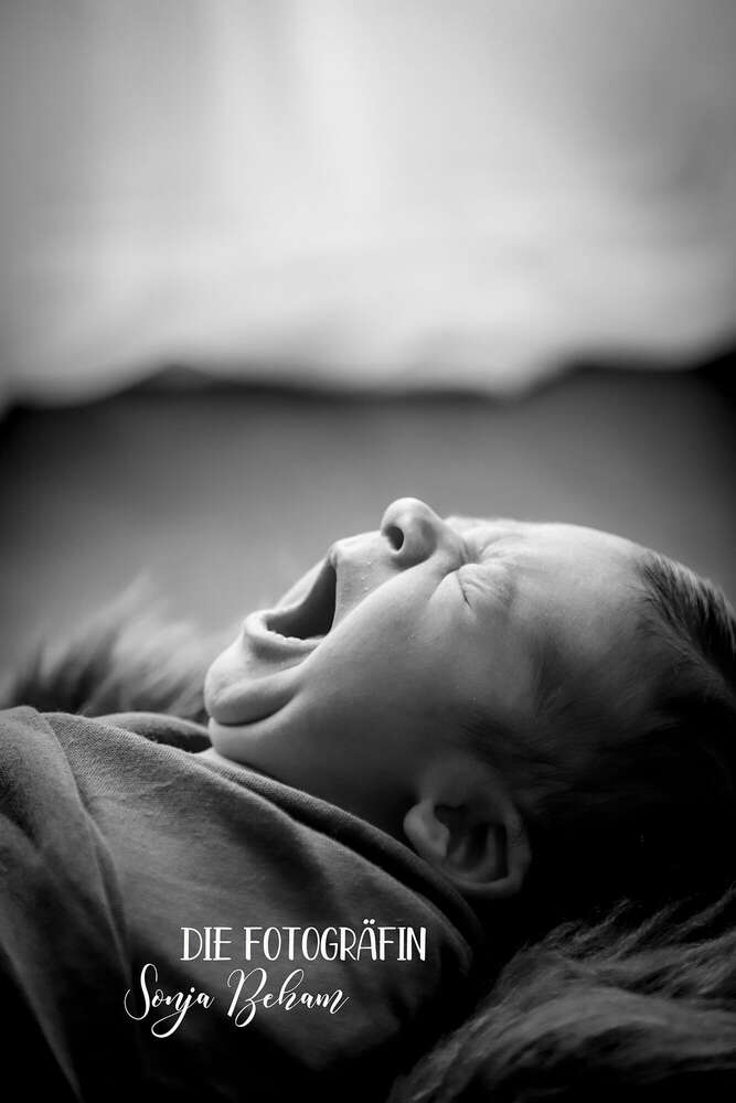 die Fotogr&auml;fin (die Fotogräfin)