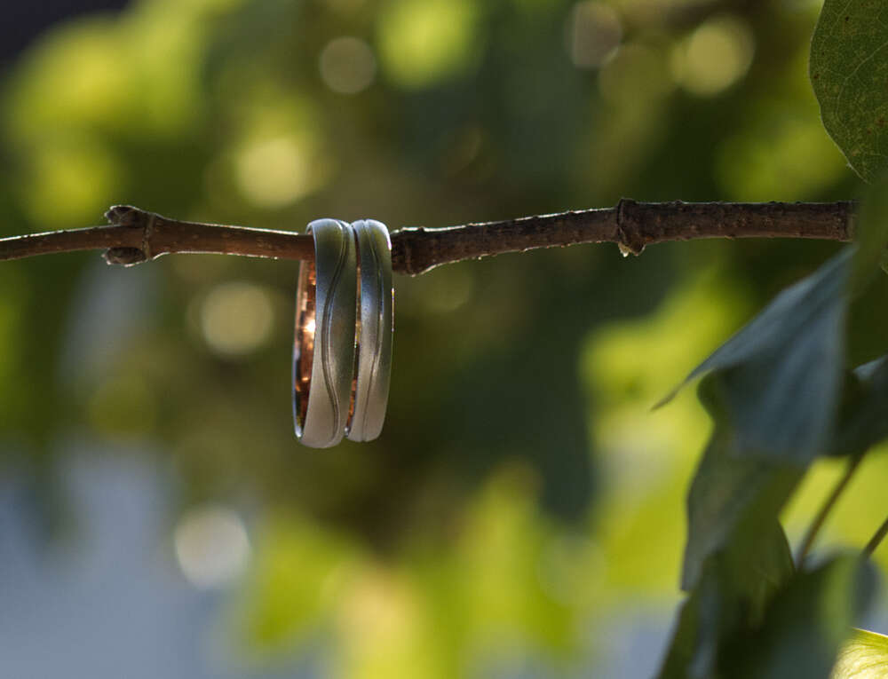 Karin Brunner (Karin Brunner)