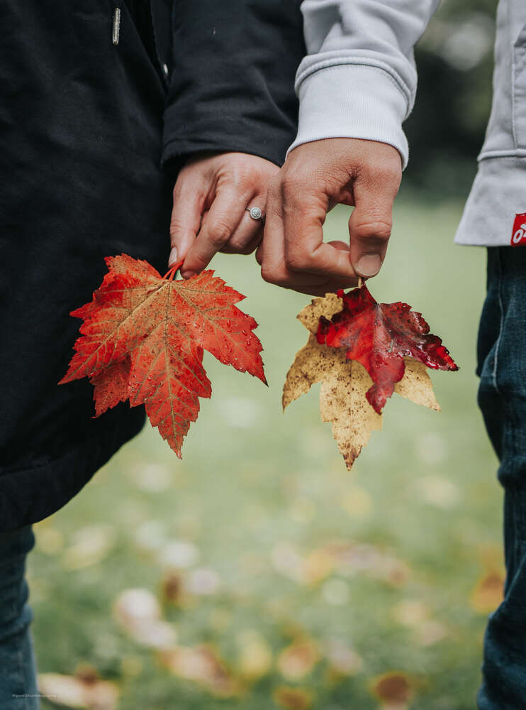 Good Life Photography