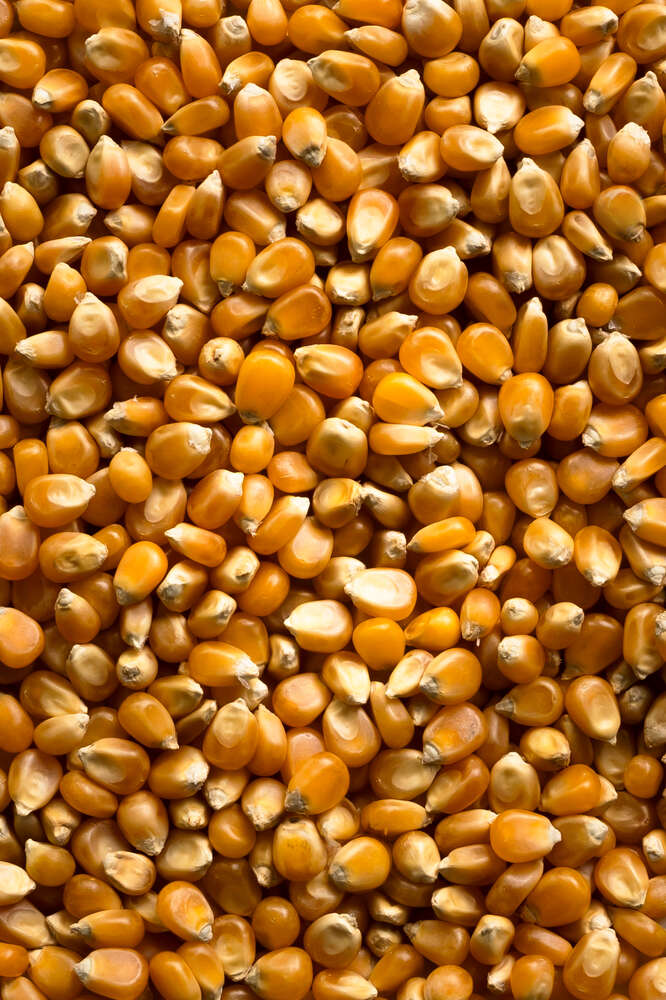 Food Fotografie Detailaufnahme (Happygrafie)