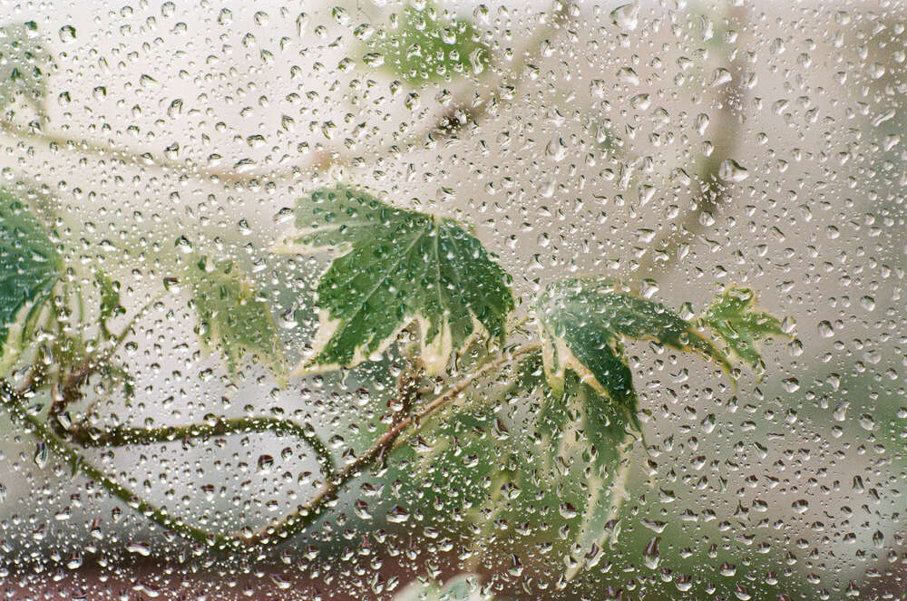 // behind glasses (Janin Kastens)