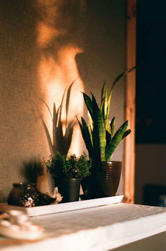 // morningsun (Janin Kastens)