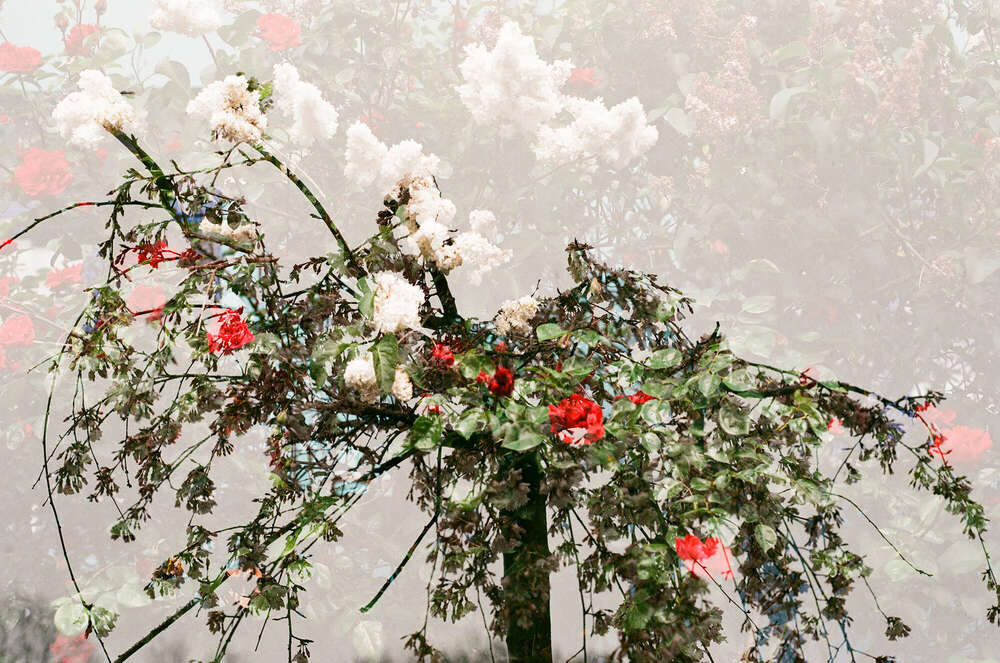 // double exposure (Janin Kastens)