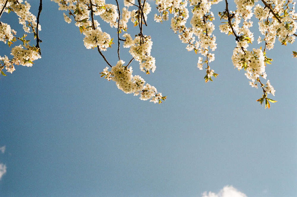 // spring (Janin Kastens)