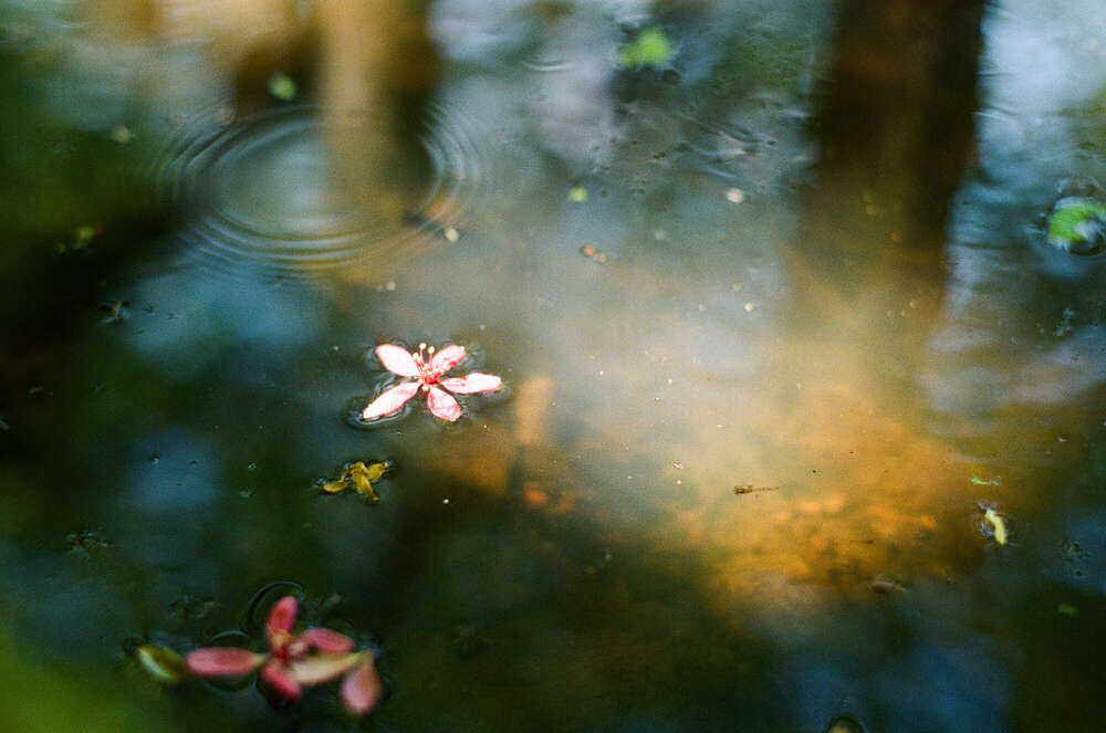 // minimal sun (Janin Kastens)