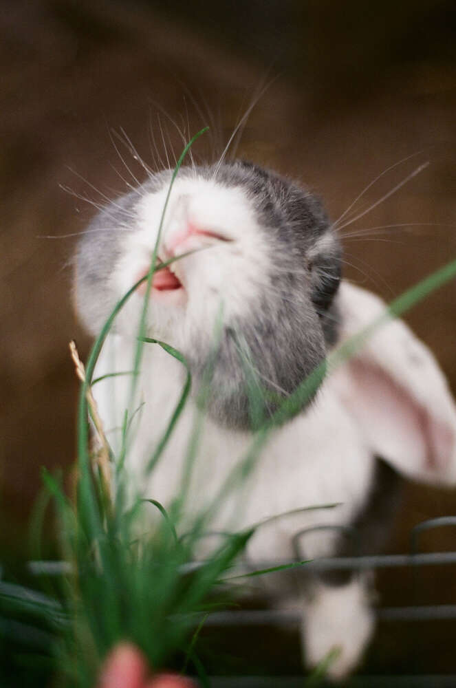 // from where i stand #1 (Janin Kastens)