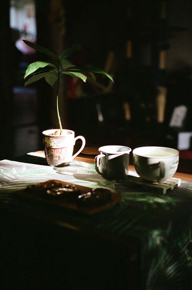 // morning sun (Janin Kastens)