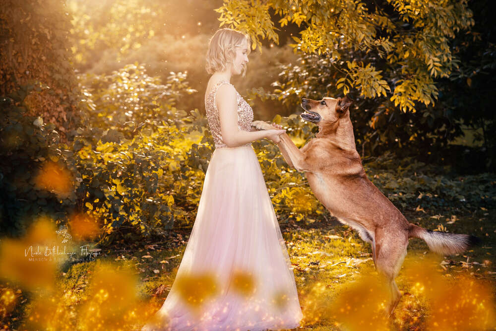 Hundeshooting mit Katrin (Nicole Bethkenhagen)