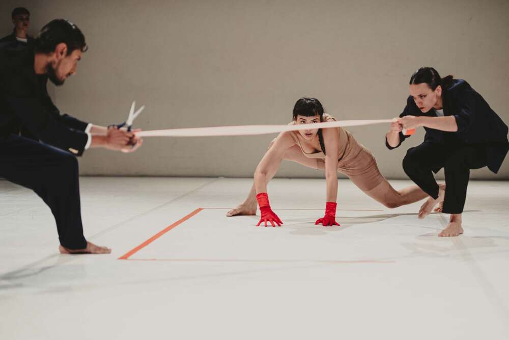 AusKleinWirdGross Fotografie (AusKleinWirdGross Fotografie)